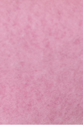 Світшот жіночий